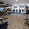 Кварцевая SPC плитка Damy Floor Family, Ginger Oak