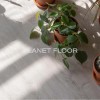 Виниловый ламинат Vinilam Glue Дуб Ален (Rich) 20468