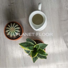 Виниловый ламинат Vinilam Glue Дуб Ален (Rich) 20468