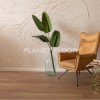 Виниловый ламинат Vinilam VinilPol Glue 8866 EIR Дуб Шера
