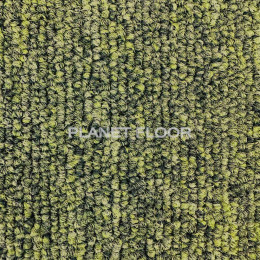 Зеленый ковролин, рис. 3