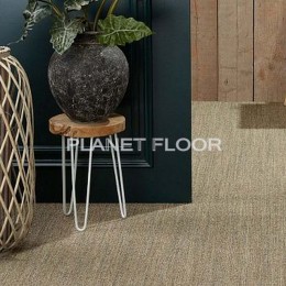 купить Зеленый ковролин по цене от 8 113 руб. Зеленый ковролин, рис. 2