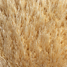 Oz Caplan, рис. 2