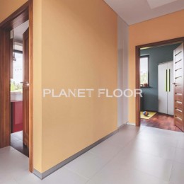 Planetfloor, рис. 2