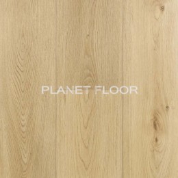 Firstfloor, рис. 1
