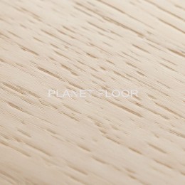 Виниловый ламинат Firstfloor 1F060 (весенний дымчатый дуб)