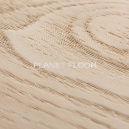 Виниловый ламинат Firstfloor 1F060 (весенний дымчатый дуб)