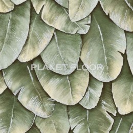 Анелив, рис. 1