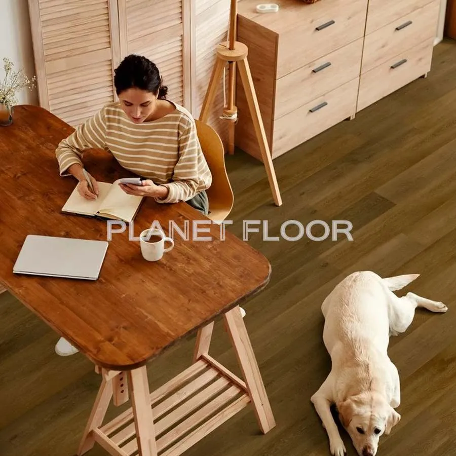 Виниловый ламинат Vinilam Allure Isocore Wood RХ22211 Дуб Руан