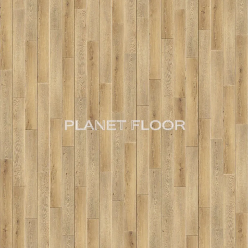 Виниловый ламинат Firstfloor 1F024 (кавказский натуральный дуб)