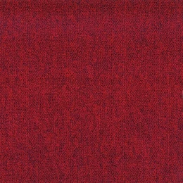 BLOQ, рис. 1